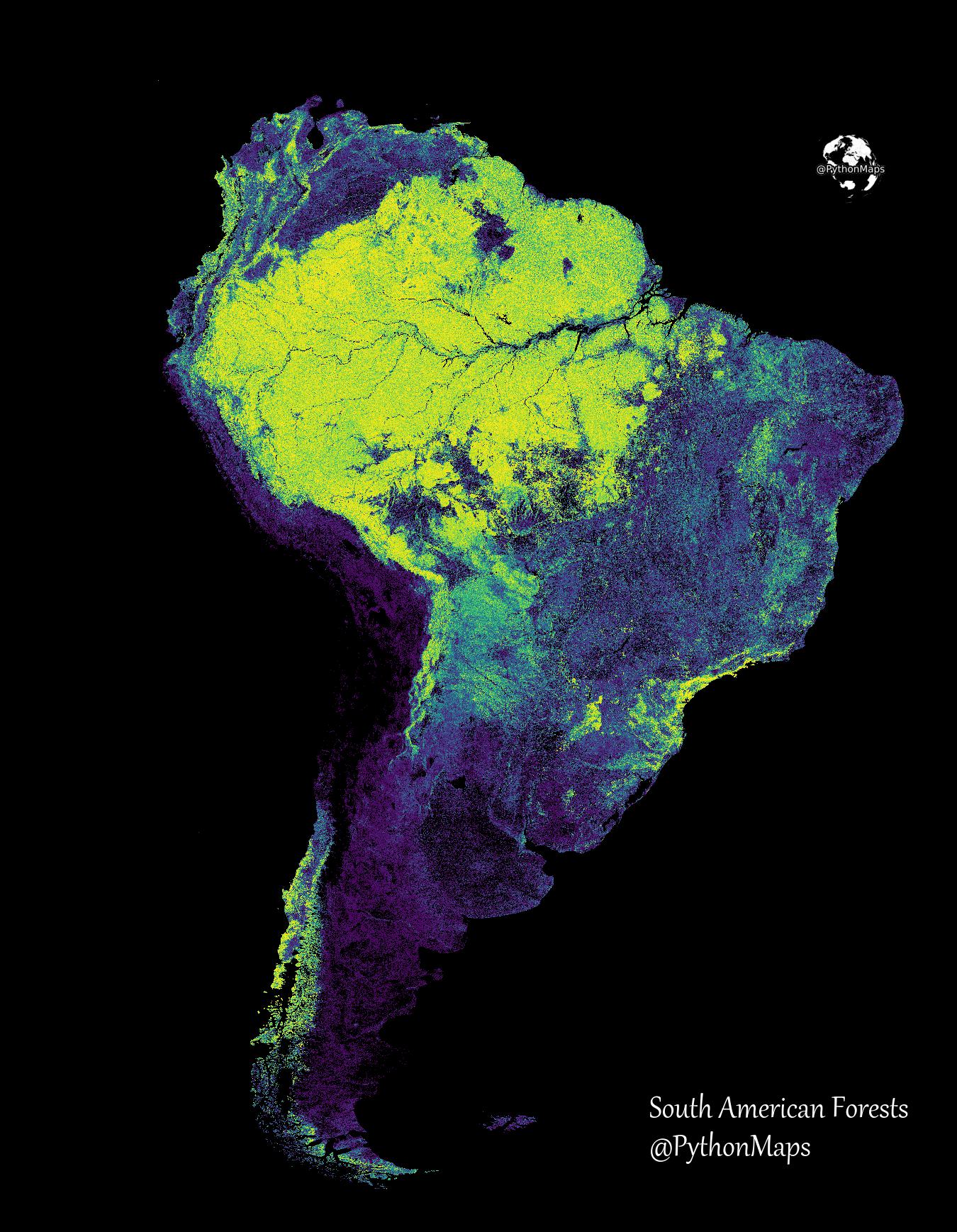 The Forests of South America